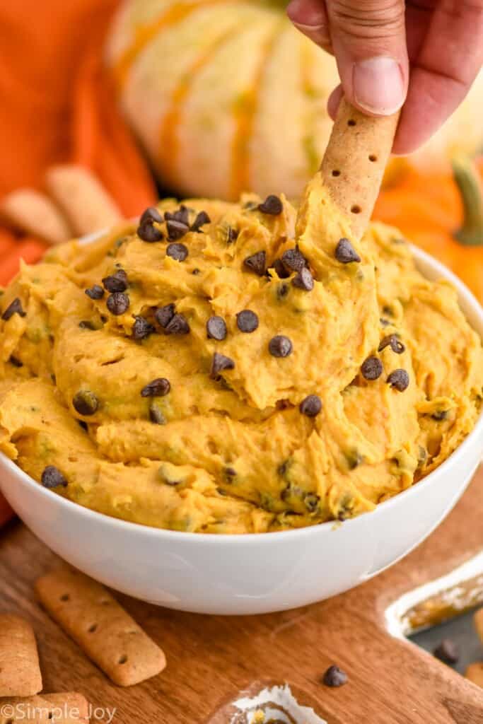 graham cracker stick dipping into a bowl of pumpkin cream cheese dip that has mini chocolate chips in it