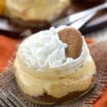 small mason jar filled with pumpkin cheesecake, topped with whipped cream, and a gingersnap cookie, says: no bake pumpkin cheesecake cups - 9