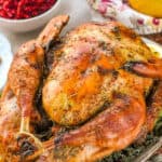 a thanksgiving turkey on a platter with greens, orange wedges, and cranberries