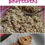 collage of photos of heart shaped bird feeder