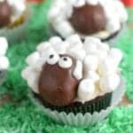 Sheep Cupcakes - 13
