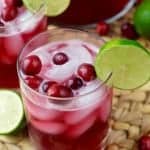 Cranberry Beergaritas - 7