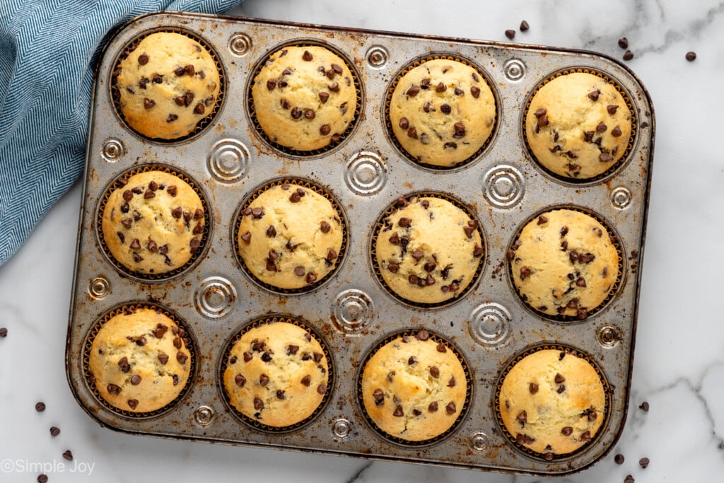overhead of a muffin tin with baked chocolate chip muffins - 9