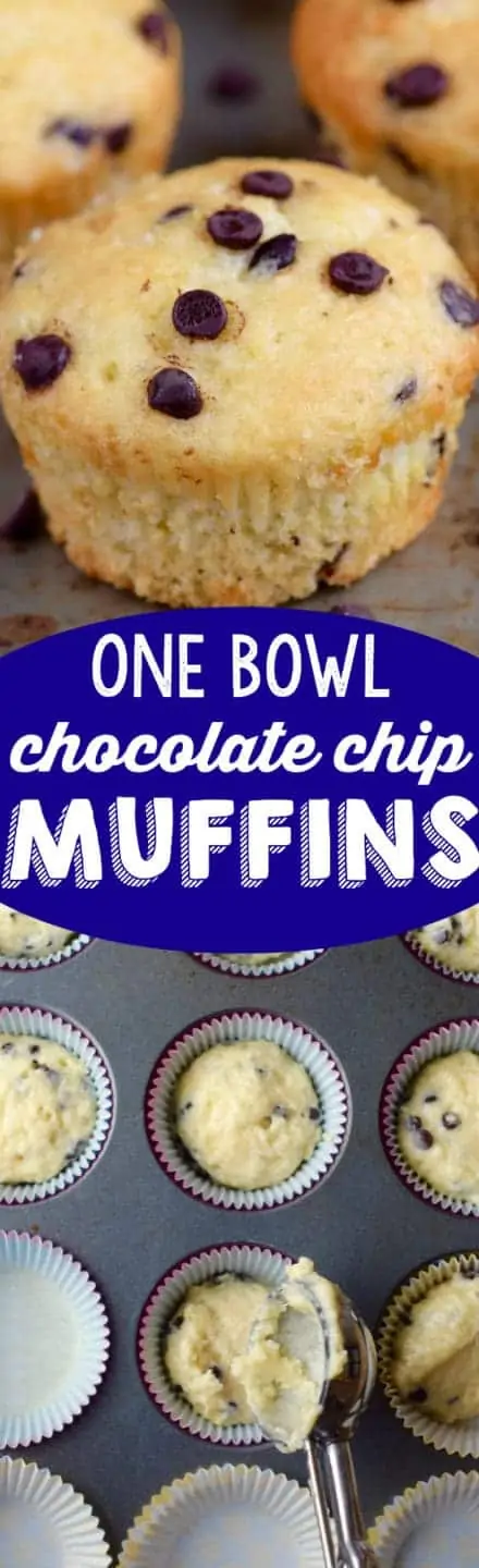The One Bowl Chocolate Chip Muffins has mini chocolate chips 