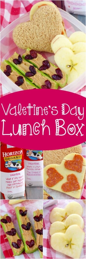 Valentine's Day Lunch Box for Kids - Simple Joy