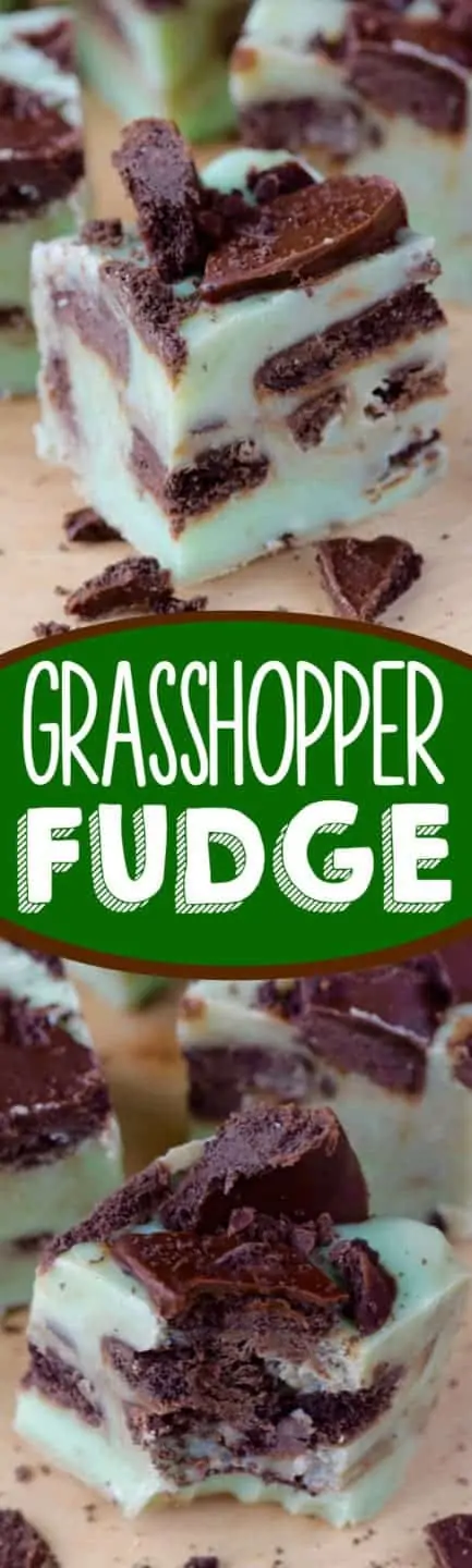 A small cube of the Grasshopper Fudge has a mint green tint with speckles of the grasshopper cookies. 