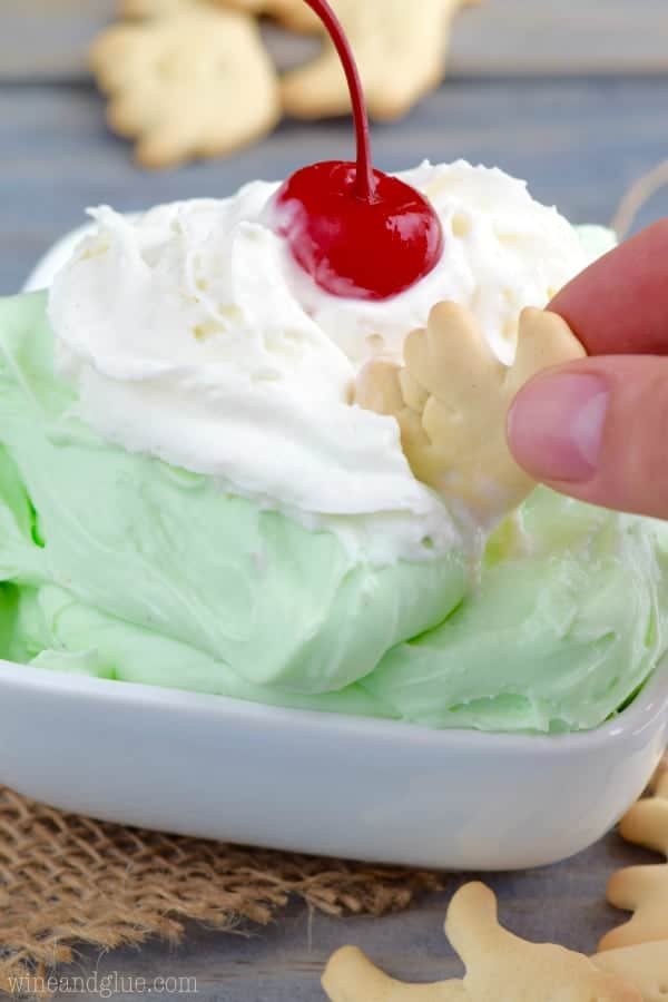 An vanilla flavored animal cracker is being dipped into the pistachio cheesecake dip. 