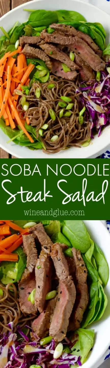 An overhead photo of a bowl of the Soba Noodle Steak Salad that has spinach, carrots, sliced steaks, red cabbage, soba noddles, and topped with black sesame seeds and scallions. 