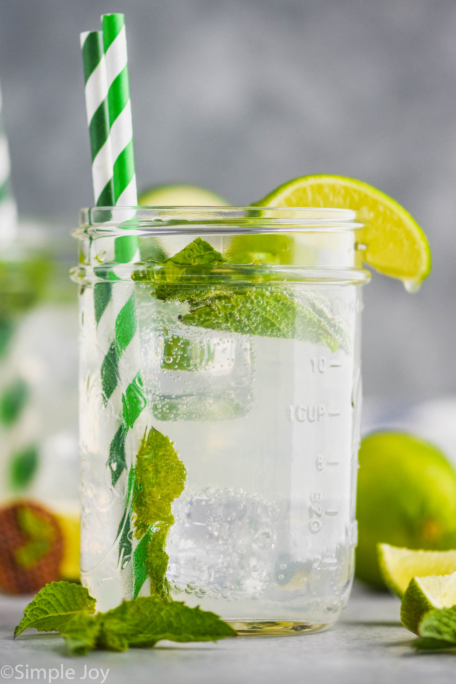 Mojito Cocktail Recipe Aluminum Water Bottle