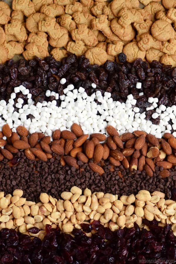 An overhead photo of all the ingredients of the S'mores Trail Mix are distinct strips (graham crackers, raisins, mini marshmallows, almonds, mini chocolates, peanuts, and dried cranberries.)