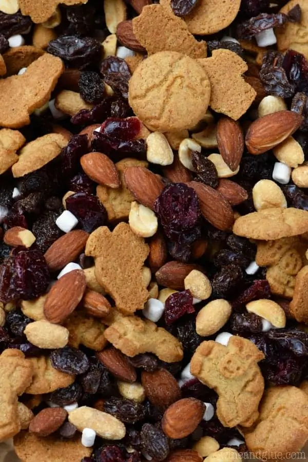 An overhead photo of the S'mores Trail Mix which has different shaped graham crackers, almonds, raisins, dried cranberries, mini marshmallows, almonds, and peanuts. 