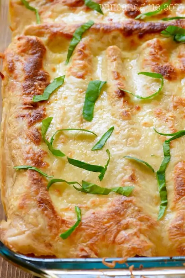In a casserole dish, the Alfredo Enchiladas has a beautiful layer of melted cheese and topped with spinach. 