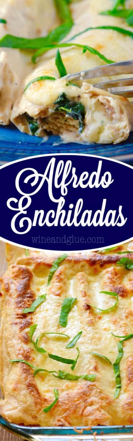 A fork digging into the Alfredo Enchiladas showing the cooked spinach, Alfredo Sauce, and mushrooms. 