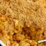 BBQ Chicken Macaroni and Cheese - 6