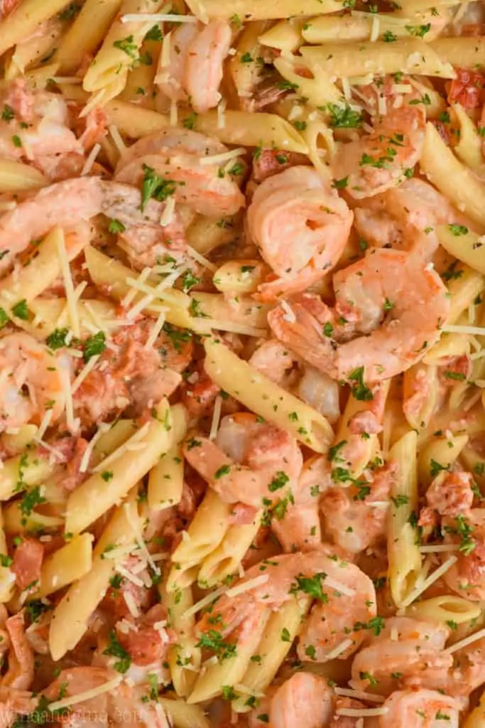up close view of creamy shrimp and pasta recipe garnished with parmesan and parsley. 