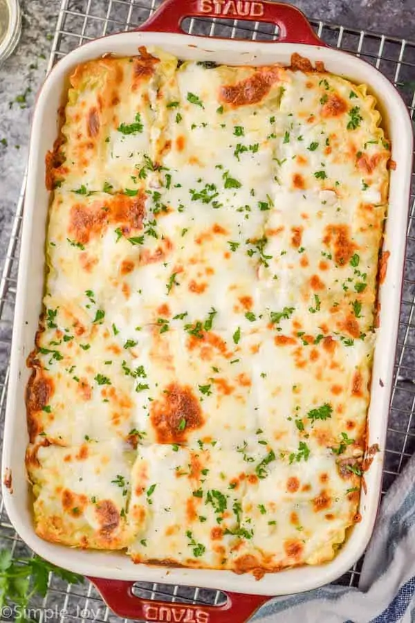 baking dish holding white lasagna