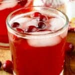 Cranberry Vodka Press - 5