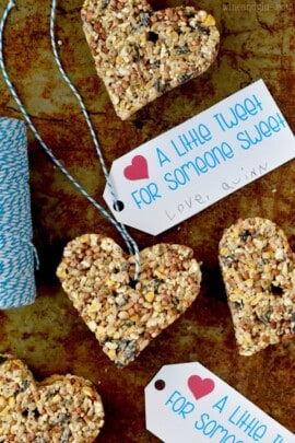 Valentine's Day Bird Feeder Printable Tags - Simple Joy