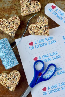 Valentine's Day Bird Feeder Printable Tags - Simple Joy