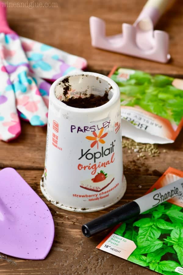 The Yoplait Yogurt cup has the label of Parsley