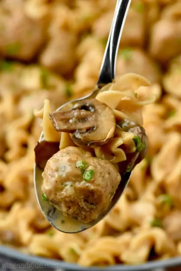 spoonful of meatball stroganoff recipe