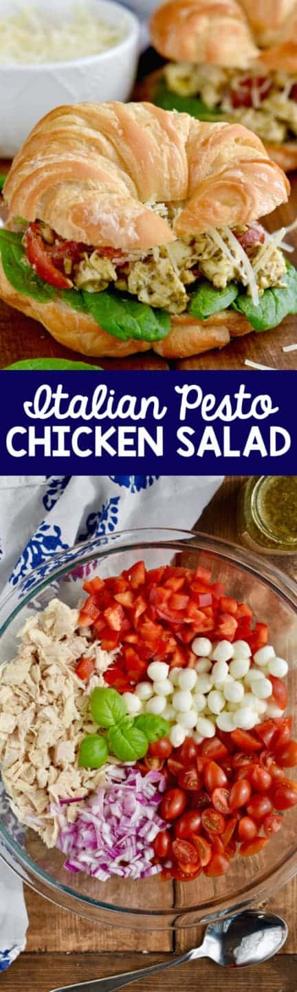 collage of easy chicken salad recipe photos