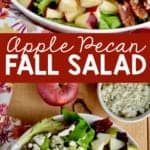 collage of photos of fall salad