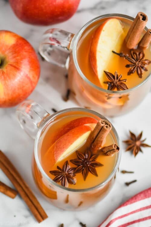 Crockpot Spiced Apple Cider Simple Joy