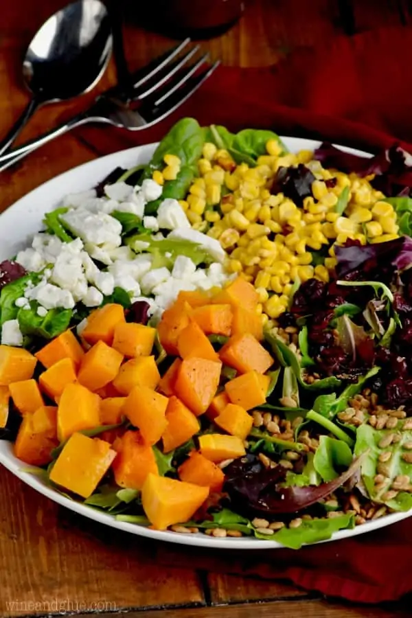 On a white plate, the Roasted Fall Salad with beautiful colors from cranberries, feta cheese, corn, greens, and butternut squash. 