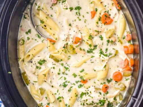 https://www.simplejoy.com/wp-content/uploads/2018/01/crockpot-chicken-noodle-soup-500x375.jpg