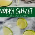 collage of photos of vodka gimlet recipe