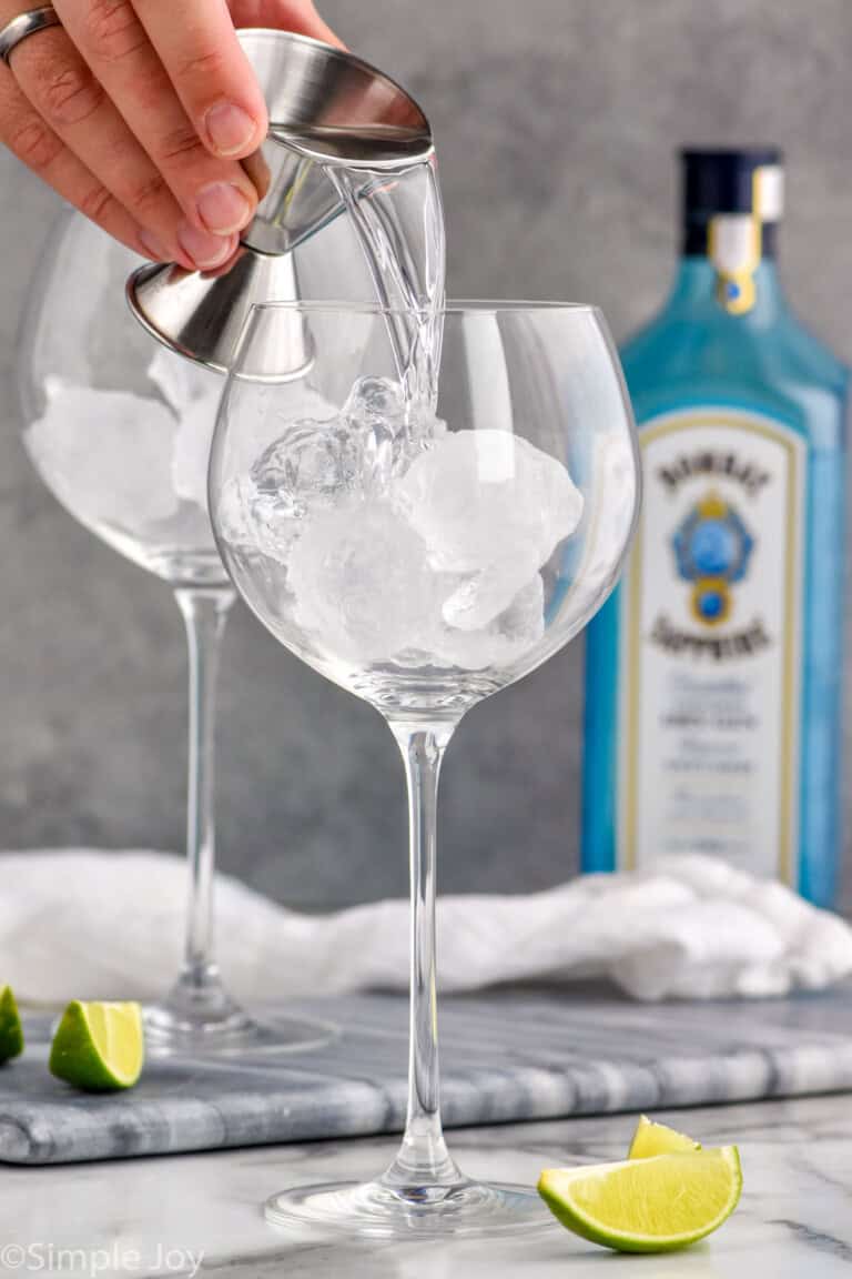 Gin and Tonic Recipe