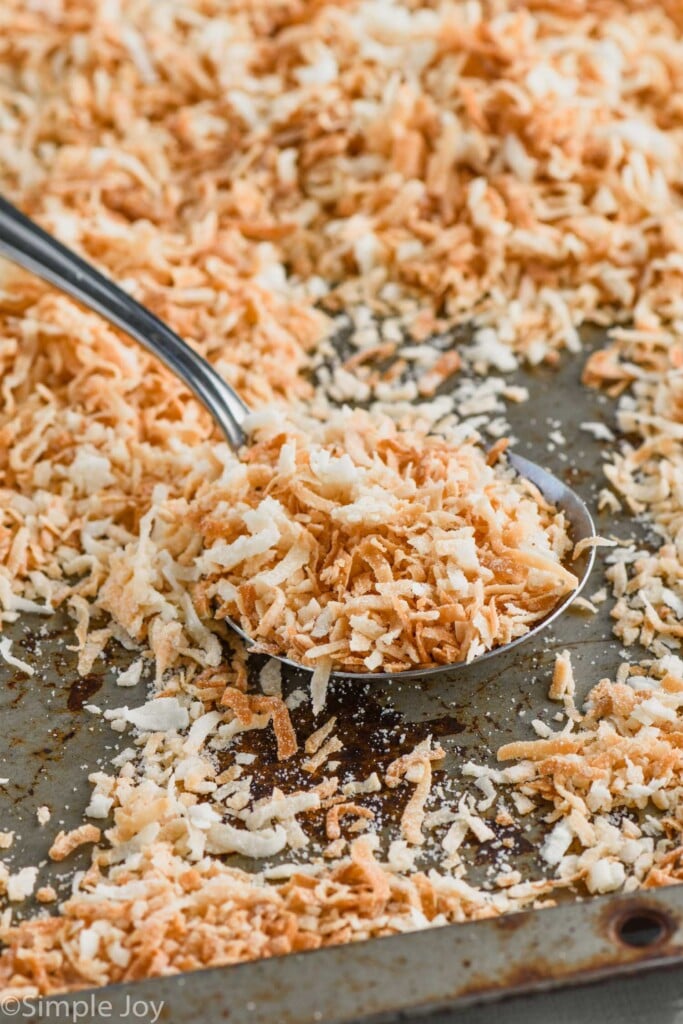 serving spoon on a baking tray with toasted coconut in it