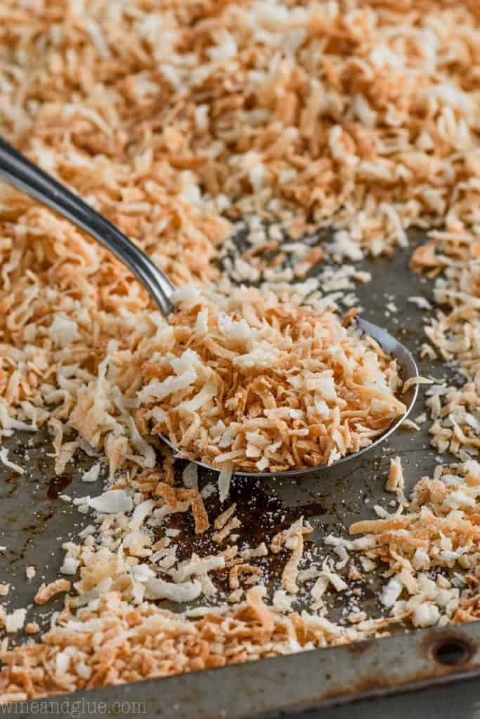 spoonful of oven toasted coconut