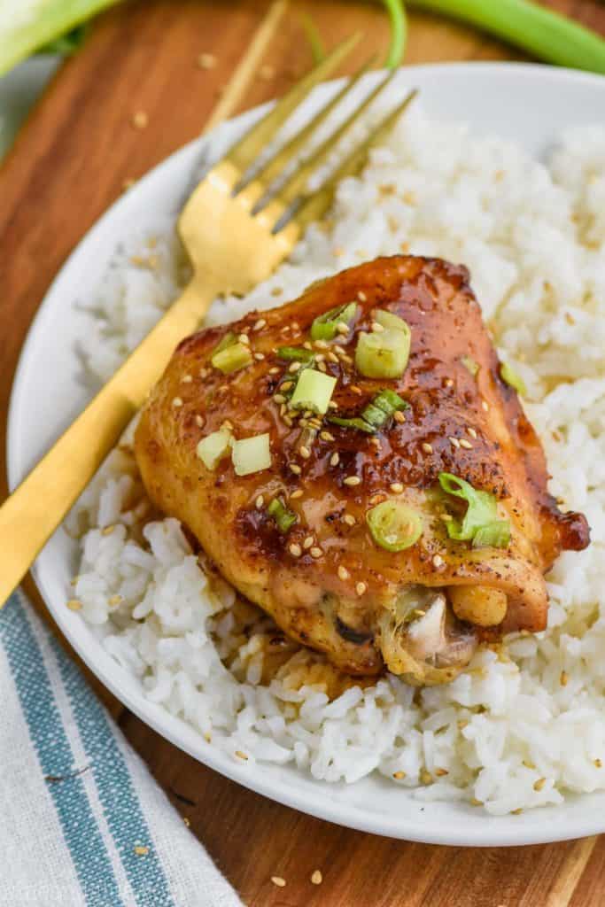 easy honey garlic chicken on rice