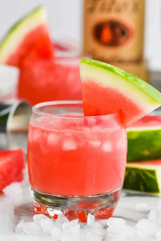 front view of watermelon vodka tonic in a tumbler and garn