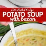 bowl of creamy potato soup with bacon topped with cheese, bacon, and scallions