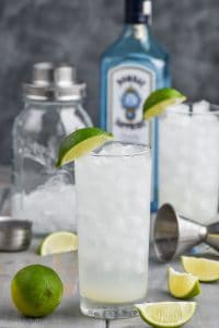 glass of gin rickey recipe with ingredients in the background