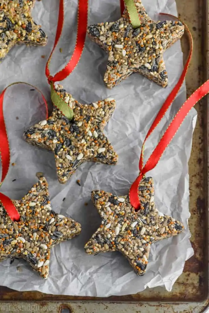 star shaped DIY bird feeders on a baking tray with a a red ribbon threaded through