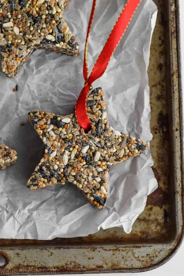 star shaped bird feeder on a tray