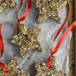 star shaped diy bird feeders on a baking tray