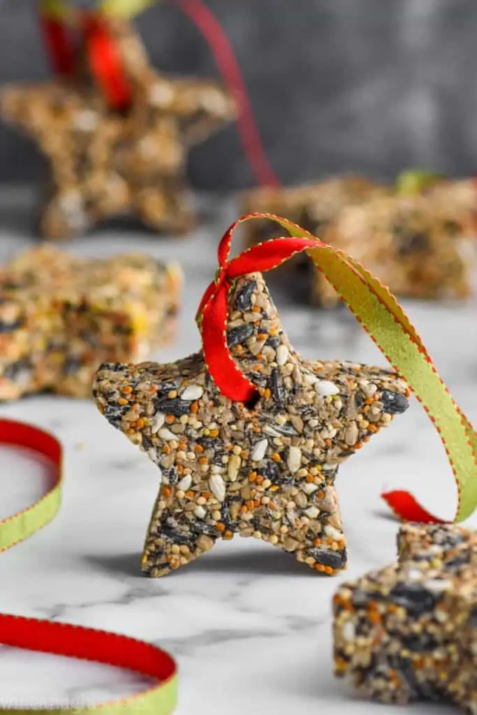 an easy to make star bird feeder with ribbon strung through it