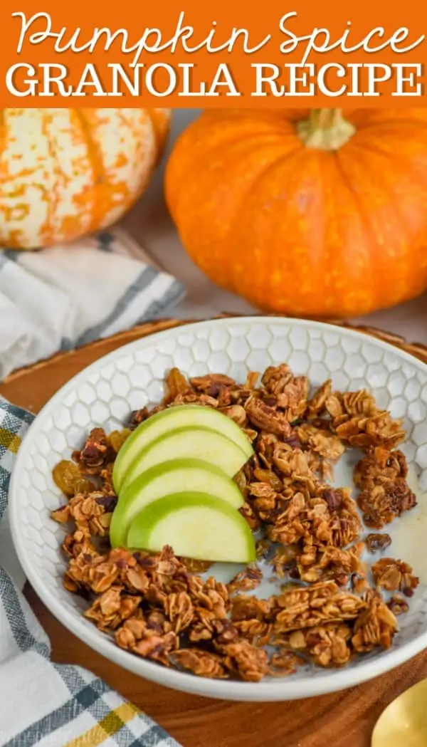 bowl of the best pumpkin spice homemade granola recipe