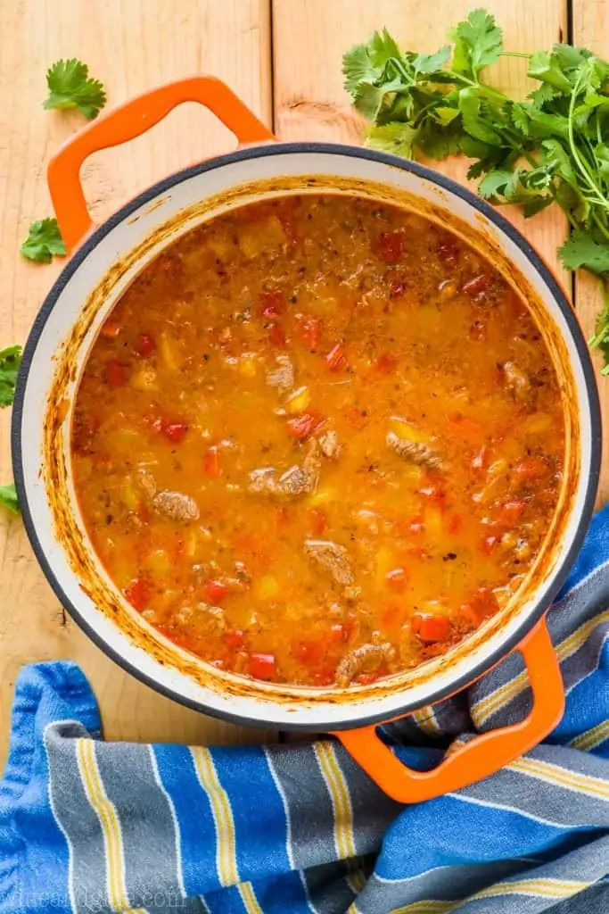 overhead view of stock pot full of steak fajita soup recipe