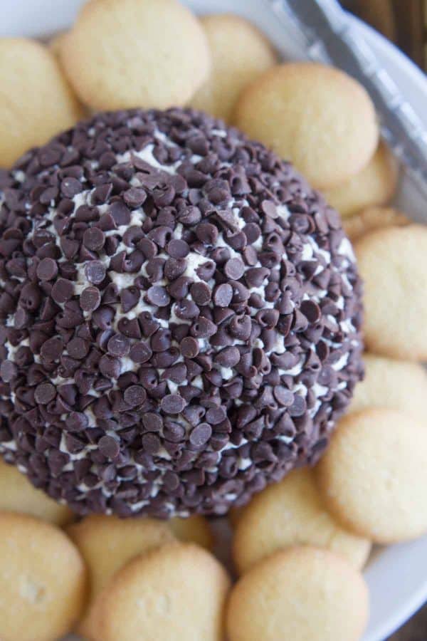 The Cannoli Cheese Ball is crusted with mini chocolate chips. 