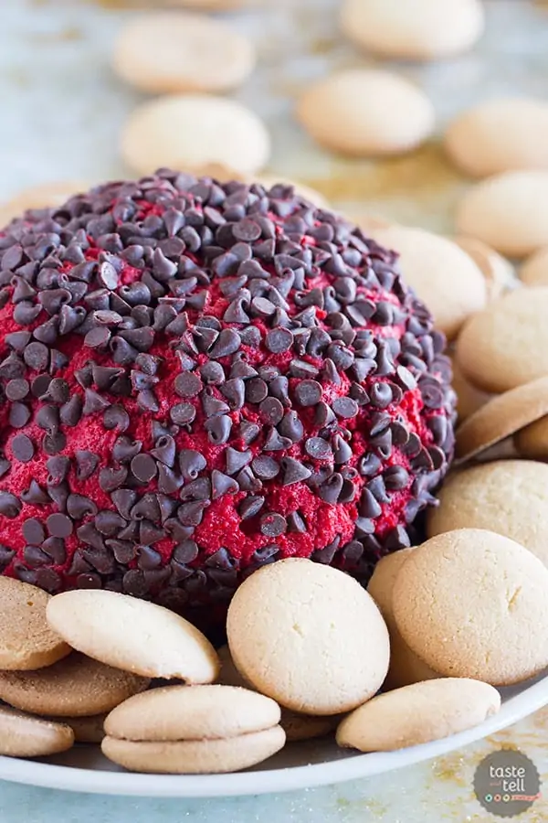 The Red Velvet Cheese Ball has a red velvet coloring with mini chocolate chips crusting it. 