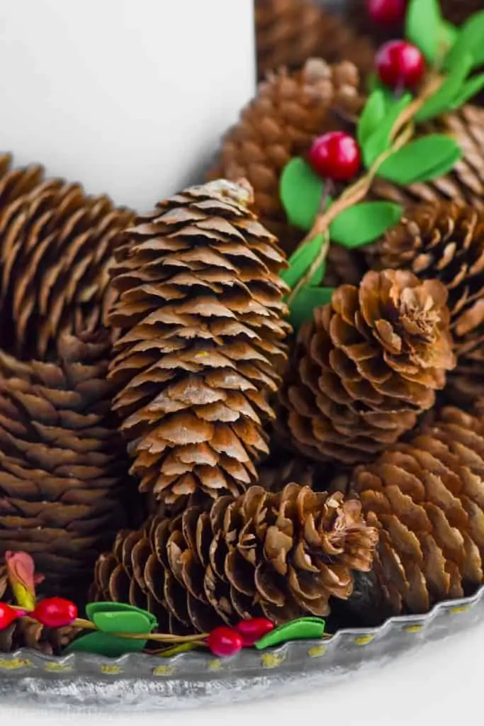 close up of a cinnamon scented pine cone