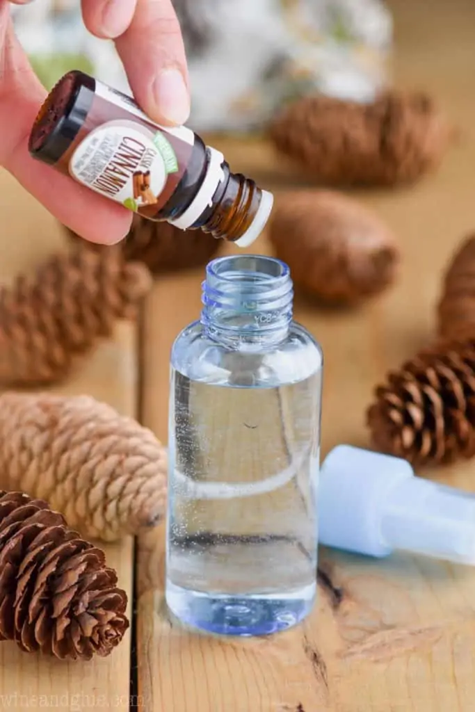 adding cinnamon oil to a small spray bottle that has water inside