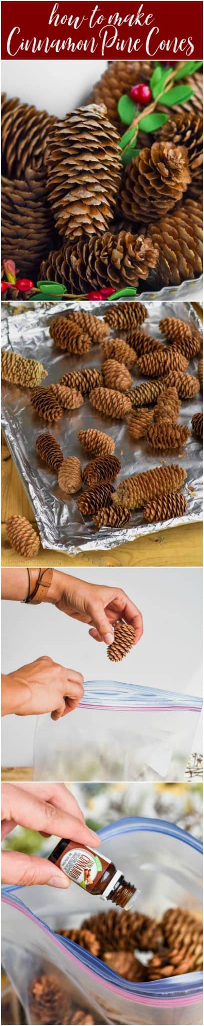 collage of how to make cinnamon scented pine cones