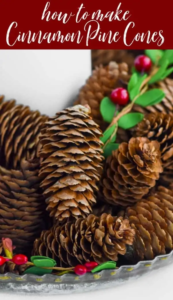 close up of a cinnamon scented pine cone